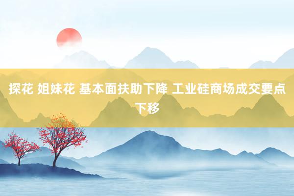 探花 姐妹花 基本面扶助下降 工业硅商场成交要点下移