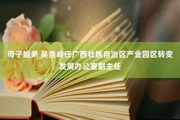 母子姐弟 吴浩岭任广西壮族自治区产业园区转变发展办公室副主任