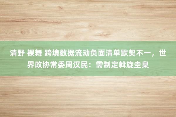 清野 裸舞 跨境数据流动负面清单默契不一,世界政协常委周汉民:需制定斡旋圭臬