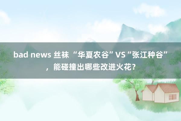 bad news 丝袜 “华夏农谷”VS“张江种谷”,能碰撞出哪些改进火花?