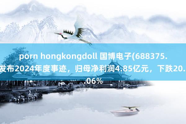 porn hongkongdoll 国博电子(688375.SH)发布2024年度事迹,归母净利润4.85亿元,下跌20.06%